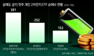 개미 공매도 금지 후 2차전지 ETF 쏠림 양극화