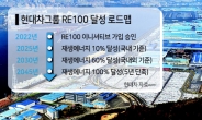 현대차 ‘RE100 조기달성’ 페달...최대규모 PPA 추진