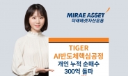 미래에셋자산운용 “‘TIGER AI반도체핵심공정 ETF’ 개인 누적 순매수 300억원 돌파”