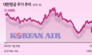 대한항공·아시아나 합병 윤곽, 산은 ‘일석이조’ 기대감