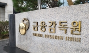 금감원, ‘두달간 11조 폭증’ 은행권 가계대출 현장점검 나선다