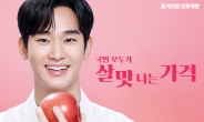 김수현, 홈플러스로 뛴다…슈퍼세일 ‘홈플런’ 모델에