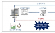 ‘흑자 전환’ 미공개정보 보고 차명계좌로 주식 매수…증선위, 상장사 대표 고발