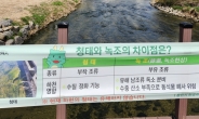 용인시 “청태는 녹조와 달리 유해하지 않아요”