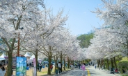 마켓·푸드·체험·놀이 봄봄축제, 비발디파크서 개최