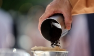 커피 수입가격, 이 정도일 줄이야…1년 만에 46.7%↑