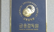 금감원, 한국회계학회와 ‘IFRS17 보험회계 공동세미나’ 개최