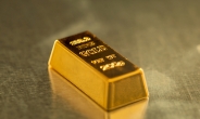 지금도 비싼데 더 오른다고?…금·은·백금 최고치 ‘눈앞’