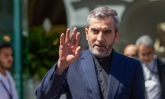 '헬기 추락사' 이란 외무장관 대행에 바게리 차관