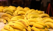 金사과에 바나나·파인애플 수입액 동반 ‘사상 최대’