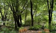 서울숲 속 ‘광야숲’ 2배로 확대된다…SM엔터테인먼트, 서울시와 협약