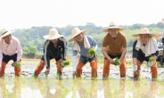 김동연, 여주 모내기 현장 방문·농업인 격려