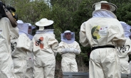 스페인서 꿀벌 기르고 사우디 사막에 나무 심기…LG전자의 ‘글로벌 ESG’