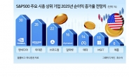 액면분할 앞둔 엔비디아 이제라도 살까