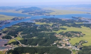 충남도, ‘벼 재배’ 간척지서 ‘미래 먹거리’ 의 보고로