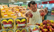 롯데마트, ‘매향복숭아’ 판매…가격은 1만990원