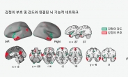 韓 연구진 “쾌락·통증 모두 느끼는 뇌 영역 찾았다”