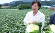 여름배추 주산지 찾은 송미령 농식품 장관 “생육관리에 만전”