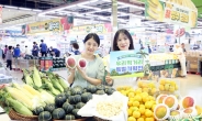 신한카드, 농협하나로마트와 제주 농가 지원 특별 기획…감귤 최대 20% 할인