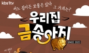 국민 안내양 가수 김정연, KBS1 ‘우리 집 금송아지’ MC로도 좋은 반응
