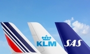 에어프랑스-KLM, 스칸디나비아 항공과 코드셰어 및 인터라인 체결