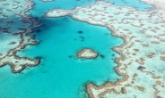 ‘푸른 산호초’와 호주 카리지니·울룰루의 비경[함영훈의 멋·맛·쉼]