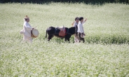 소금을 뿌린 듯 ‘숨 막히게 하얀 그곳’에서 이효석을 만나다 [함영훈의 멋·맛·쉼]