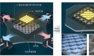 “40%까지 쭉 늘어난다” KAIST, 3차원 스트레쳐블 OLED 개발