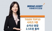 미래에셋, 국내주식형 ‘TIGER TOP10 시리즈’ 9종 순자산 2.5조 돌파