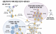 “남자가 여자보다 4배↑” 韓美 연구진, ‘자폐’ 연관 유전자 찾았다