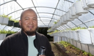 Urban farm trains immigrants, offers chance of a decent wage