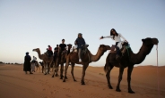<World Feature>추운 겨울방학, 따뜻한 사하라 사막으로