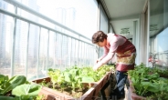 강동구 집집마다 텃밭… 전국 첫 ‘친환경 도시농업’선포