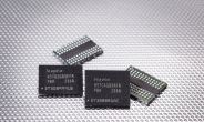 SK하이닉스, 모바일기기용 DDR3L-RS 출시