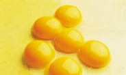 하루에 계란 3개 먹으면 콜레스테롤이 “충격적 결과”