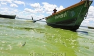 파라과이 죽음의 호수 “녹조현상이 이렇게 무서워”