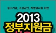 <신간소개> 2013 정부지원금 사용법