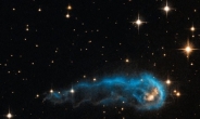 아름다운 우주 벌레 “우주를 수놓은 푸른벌레?”