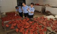중국 가짜 쇠고기 17톤 적발…“돼지고기에 공업용 파라핀 넣어”