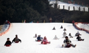 폭설 소식이 반가운 스키장....비발디파크, 눈썰매장 전격 오픈