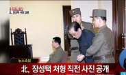 “北 장성택 처형, 최측근이 김정남 만난 게 화근”