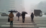 서울에 눈이 흩날린다…낮 동안 그칠 듯
