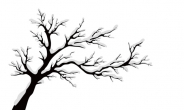[위크엔드] 죽은 나무엔 더 이상 바람도 불지 않는다