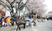 렛츠런파크 서울 ‘명물 꽃마차’