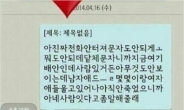 [세월호 침몰 사고] 세월호 생존 SNS 가짜 “인간도 아냐”