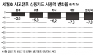 세월호 참사 여파 소비 위축…일자리 · 세수 감소 연쇄반응 우려