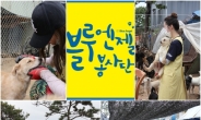 유기동물보호소 봉사활동 앞장서는 ‘블루엔젤 봉사단 6기’ 관심