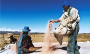 퀴노아를 고르는 볼리비아의 농부…박노해 사진전
