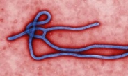 첫 아시아권 에볼라 사망자에 무슨일이?