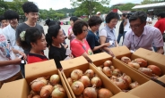 한국마사회, 농민돕기 농산물 나눔